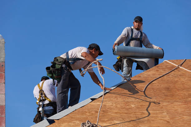 Best Roof Maintenance Services  in Cascade Locks, OR