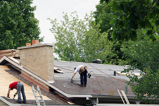 Best Metal Roofing Contractor  in Cascade Locks, OR